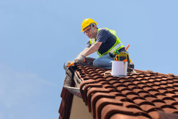 Best Roof Ventilation Installation  in Grosse Pointe, MI